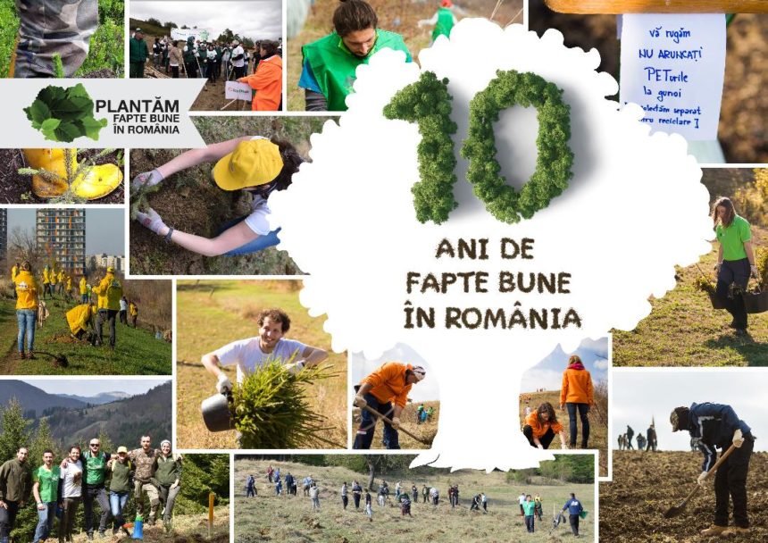 Plantăm fapte bune în România – numărăm puieții plantați cu gândul la voluntarii care ne susțin de la distanță