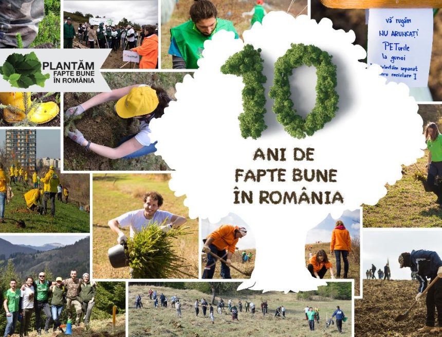 Plantăm fapte bune în România – numărăm puieții plantați cu gândul la voluntarii care ne susțin de la distanță