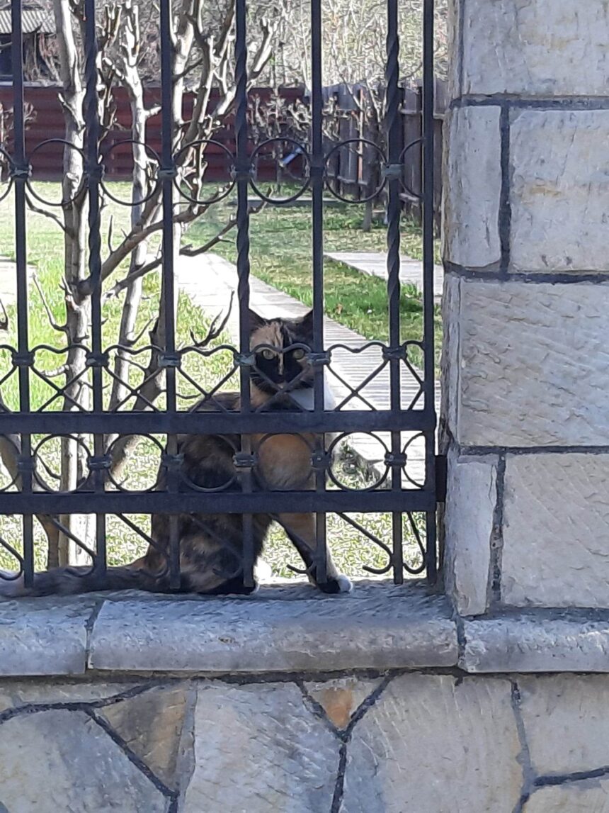 Gând bun, cu prețuire! Gând bun, cu prețuire!