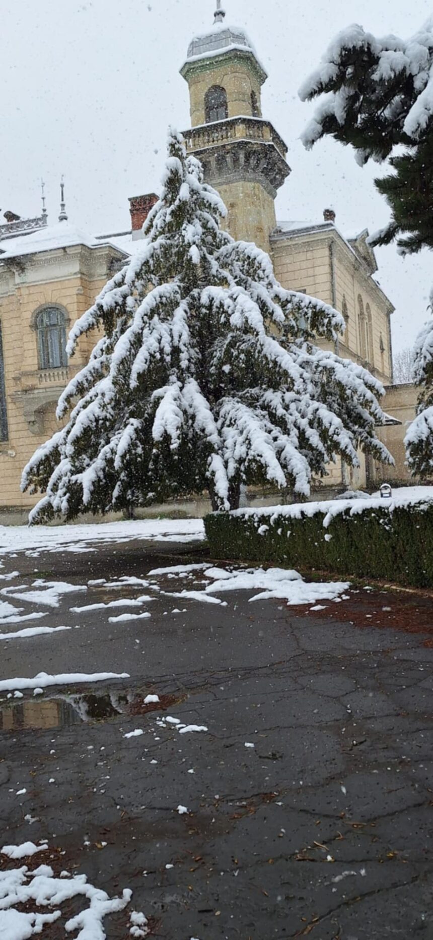 7 – 11 APRILIE,  VAL DE FRIG, ÎNGHEȚ LA SOL, BRUMĂ, PAGUBE ÎN AGRICULTURĂ