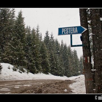 ”Unde cuvintele devin pagini, paginile devin cărți…”