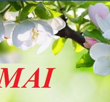 A fost odată 1 Mai