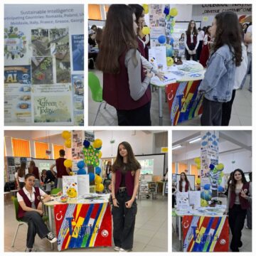 Proiecte  e       Twinning  care pregătesc elevii  pentru  viitor
