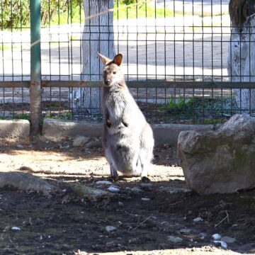 La  Grădina Zoologică Târgovişte