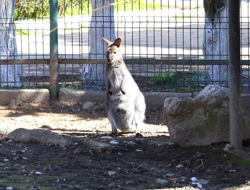 La  Grădina Zoologică Târgovişte