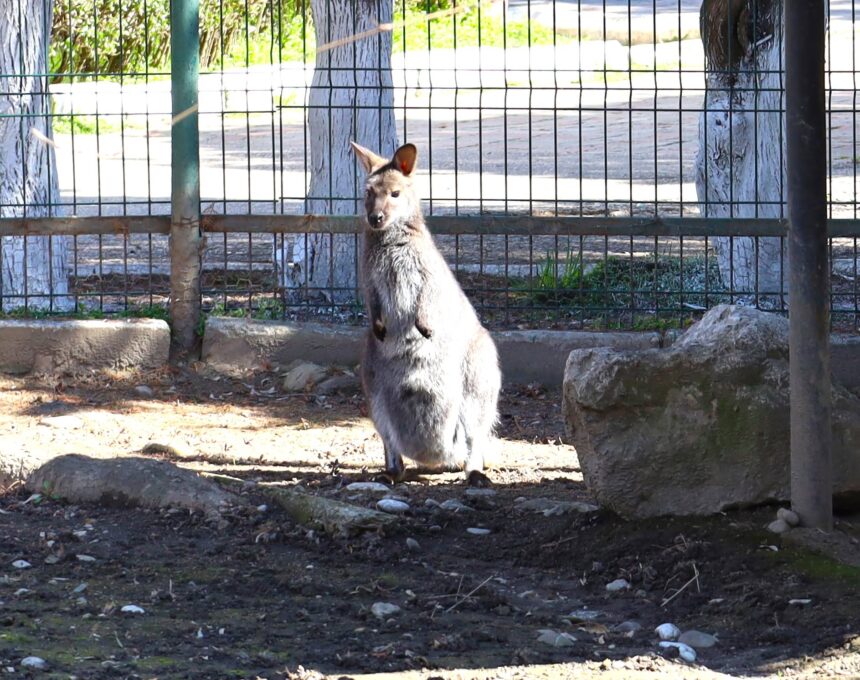La  Grădina Zoologică Târgovişte